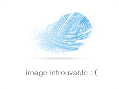 Usinage Bronze